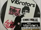 The Vibrators ?– Baby, Baby PICTURE DISC 7