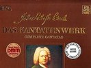 TELDEC DMM - DAS KANTATENWERK - BACH CANTATAS VOL. 45 - 2LP - EX+/NM