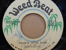 DEVON LYON SHADOW AFTER DARK / SAXS IN DUB OG JAMAICAN WEED BEAT 7