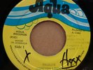 HOPETON LINDO TRIBUTE / VERSION JAMAICAN AQUA 7