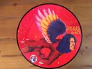 David Bowie - The Man Who Sold The World LP | 2016 RSD Picture Disc |  Awesome