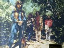 CREEDENCE CLEARWATER REVIVAL - GREEN ANALOGUE PRODUCTIONS SEALED 200G VINYL LP