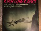 DO NOT BUY  Counting Crows Recovering the Satellites Vinyl LP - Original Press 