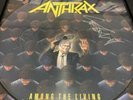 Anthrax Among The Living signed picture disc vinyl. Original cover. 