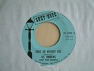 LEE ANDREWS / CAN'T DO WITHOUT YOU / LOST-NITE / EX / WIGAN..NORTHERN SOUL..MOD