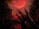 DESPISE THE SUN LP REISSUE - SUFFOCATION