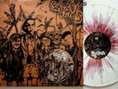 The Stupids – Peruvian Vacation 2-LP & CD (2014 COLOURED Vinyl NM+) Punk 1985