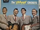 The Chirping Crickets Brunswick VG Orginal 1957 54038 RARE  Buddy Holly LP