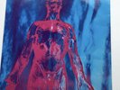 NIRVANA Sliver Dive 12