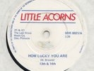 SYNTH  MINIMAL -- 13TH & 14TH -- HOW LUCKY YOU ARE -- UK  7