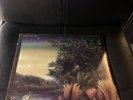 Fleetwood Mac- Tango In The Night LP (NEW) GREEN COLOURED VINYL Little Lies 1987