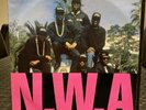 Hip Hop Rap Vinyl Bundle NWA 2Pac Tim Dog Ice Cube Mellow Man Ace