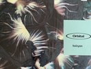 Orbital Halcyon 12” Vinyl (Mortal Kombat) Original U.S. Press RARE
