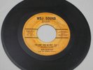 RARE R&B FUNK YOU DON'T NEED NO HELP REX GARVIN & THE MIGHTY CRAVERS WSJ SOUND