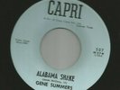 ROCKABILLY  bw TEEN - GENE SUMMERS - ALABAMA SHAKE  -HEAR - 1964 TEXAS CAPRI