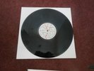 The Slits- Y Untitled Bootleg Retrospective    vinyl LP 1980