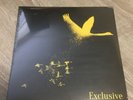 THE WILD SWANS 12” SEALED BRINGING HOME THE ASHES EXTENDED MIX Whatever possess