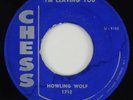 Howling Wolf 