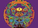 ID23z-The Grateful Dead-Anthem Of The Sun-vinyl LP-New