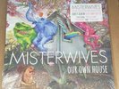 SEALED Misterwives - Our Own House Limited Clear Transparent Green Vinyl LP RARE