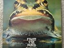 Rare FROGGIE BEAVER From The Pond 1973 PRIVATE PRESS Prog Rock LP EX Vinyl