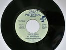 E.T. White and his Great Potential Band ?– Walk On, 7
