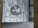 RARE Anarcho punk- RUDIMENTARY PENI 12 TRAX 7