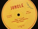 JUNGLE   SELF TITLED LP    ORIG. ‘69 PRIVATE PSYCH LP