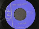 END: not fade away / memorandum CHA CHA 7