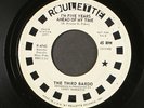 THIRD BARDO: i'm five years ahead of my time / my rainbow life ROULETTE 7