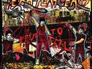 YEAH YEAH YEAHS - FEVER TO TELL - VINYL