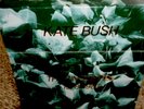 Kate Bush The Single File 1978-1983 EMI KBS 1  Box Set 17 45 Rpm Records Book