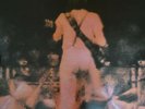 Neil Young & Crazy Horse - Live Rust Double Vinyl LP Set 1979 Reprise VG+