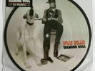 DAVID BOWIE -Diamond Dogs- Rare UK 40th Anniversary Picture Disc (Vinyl Record)