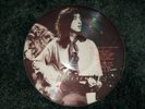 Led Zeppelin Live Concert Picture Disc Vinyl Bootleg