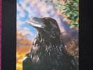 The Stranglers - The Raven 3D Cover Japanese Vinyl Lp GP765