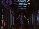 Limbonic Art - In Abhorrence Dementia - Double LP Vinyl - FL050DLP - NEW