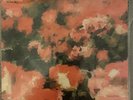Rival Schools - Pedals LP (2011 Photo Finish Records Vinyl Rare
