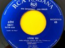 ELVIS PRESLEY (45 RPM - ITALY) 45N 0611 