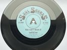 Chapter Five / Micky Moonshine – You Can't Mean It / Name It You Got It