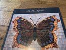 The House Of Love Original Release Album