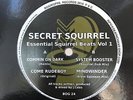Secret Squirrel - Commin On Dark / Come Rudeboy / System Booster 12” Vinyl