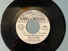 Northern Soul Jr Walker What does it take to win your love Canadian Motown DEMO