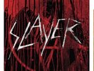 SLAYER  THE VINYL CONFLICT 11 LP's 180g. Audiophile Vinyl
