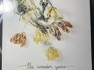 1st PRESSING - The Wonder Years - Burst & Decay Orange Vinyl (Tour Exclusive)