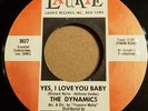 The Dynamics Yes I Love You Baby/Soul Sloopy Exc