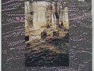 Blind Ear - CELIBATE RIFLES - Vinyl LP (TLP 79077) - 1989
