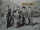 ? OBSCURE LP MEXICO ?SONIDERO CUMBIAS? HEAVY PSYCH MOOG CUMBIA LATIN SABOR
