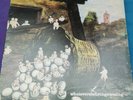Kevin Ayers 'Whatevershebringswesing' Vinyl (SHVL 800, UK pressing)