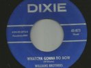 ROCKABILLY VOCAL bw  INSTRO-WILLIAMS BROTHERS - ALI-BABA - HEAR -1960 SCP DIXIE